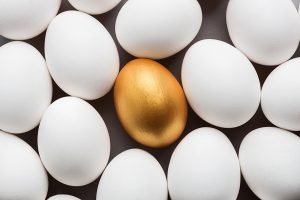 Alternative Assets: From Private Equity to Passion Collections