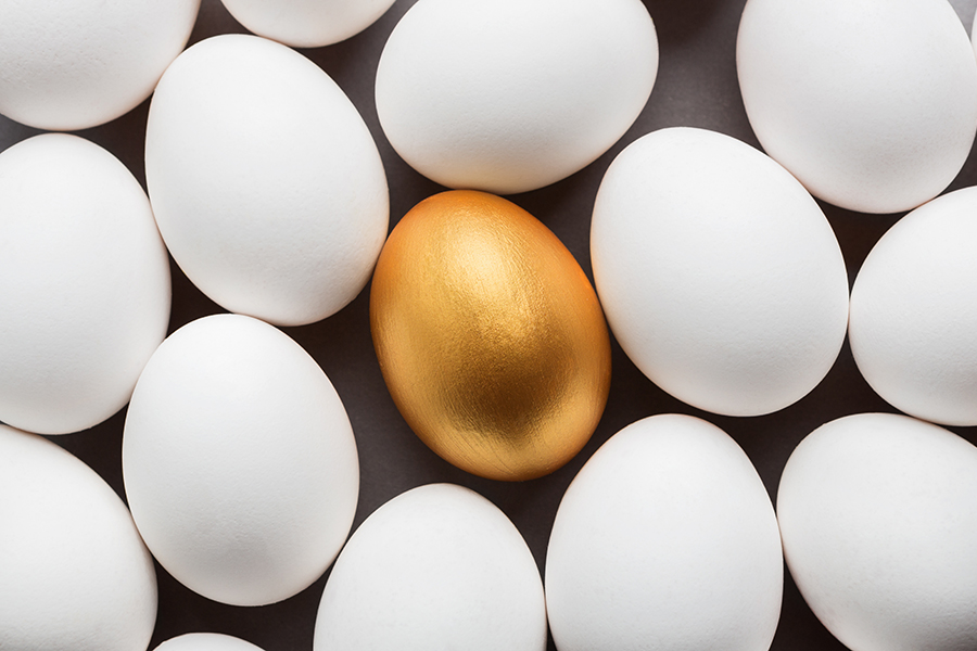 Alternative Assets: From Private Equity to Passion Collections